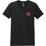 Benet Hockey Softstyle V-Neck T-Shirt