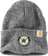 CT ECHO Stars Carhartt Watch Cap 2.0