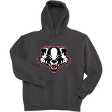 Scary Badgers Super Heavyweight Fleece Hoodie
