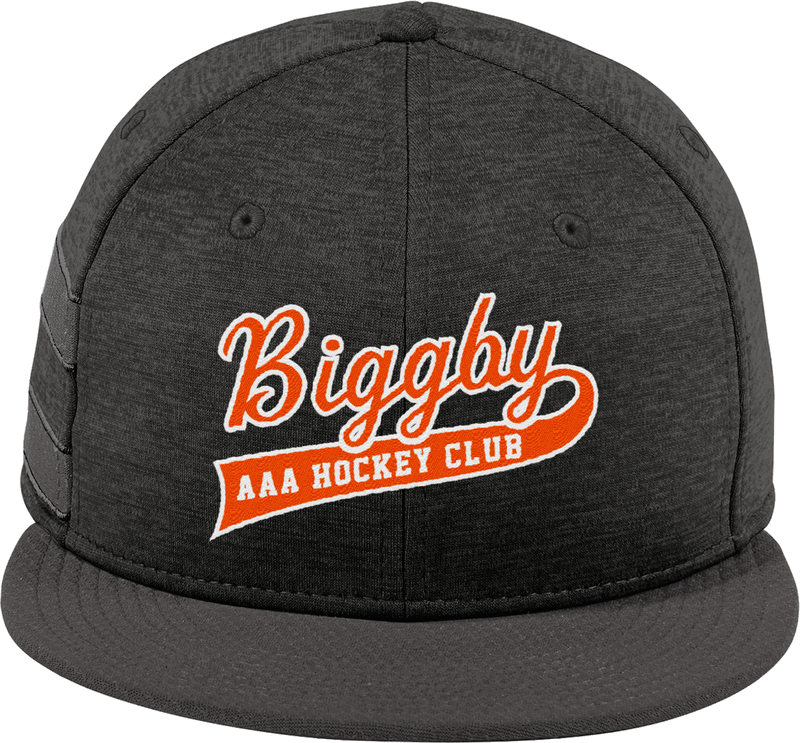 Biggby Coffee AAA New Era Shadow Heather Striped Flat Bill Snapback Cap