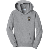 Queen City Royals Youth Fan Favorite Fleece Pullover Hooded Sweatshirt